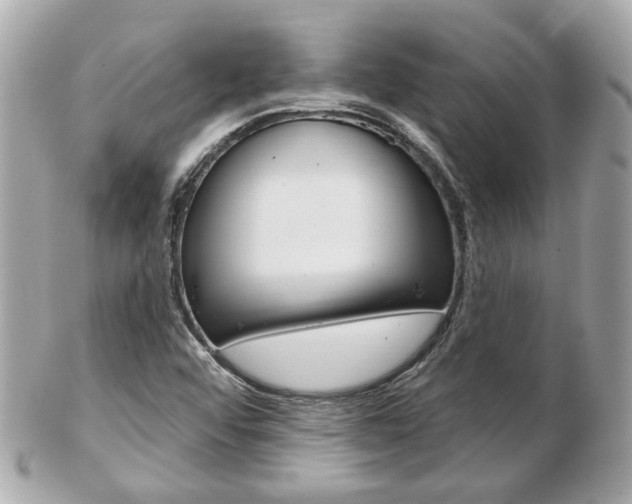 X0000103281456200808291035