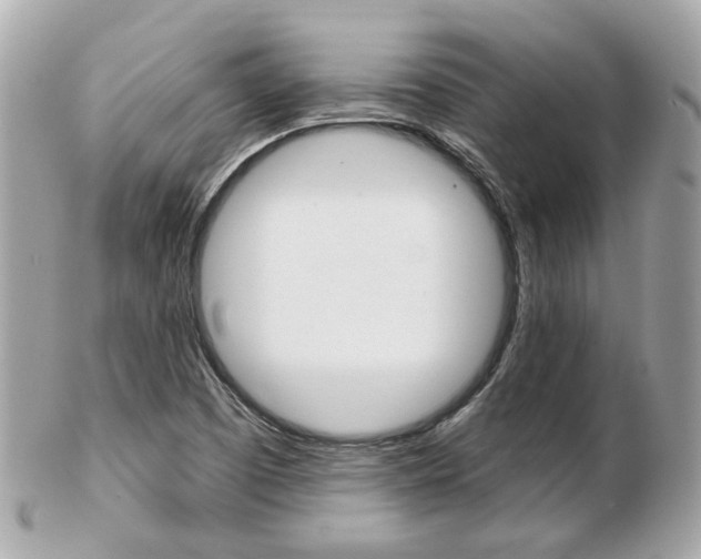 X0000103281457200808291035