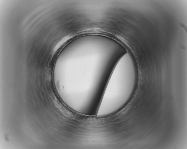 X0000103281458200808291035