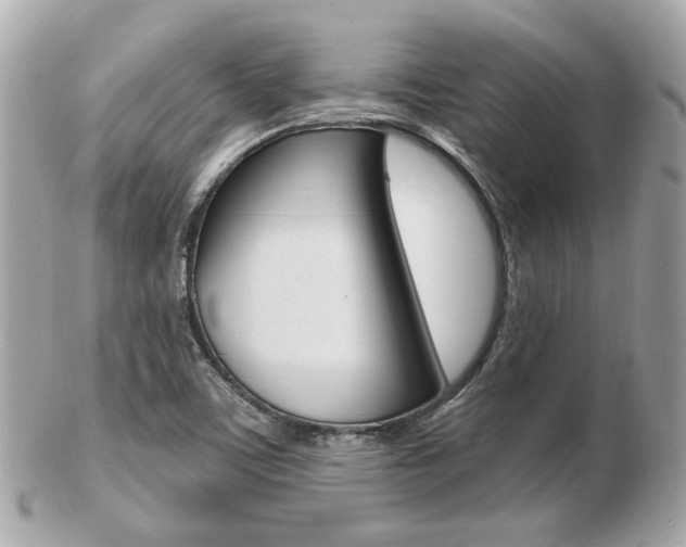 X0000103281459200808291035
