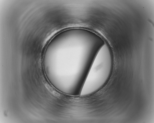 X0000103281460200808291035