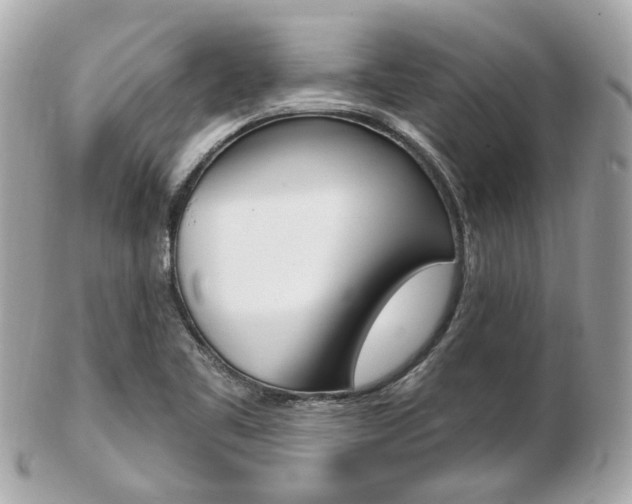 X0000103281461200808291034