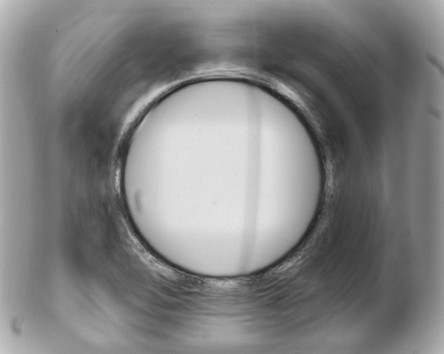 X0000103281462200808291034