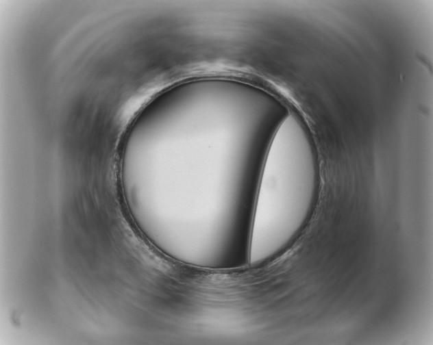 X0000103281463200808291034