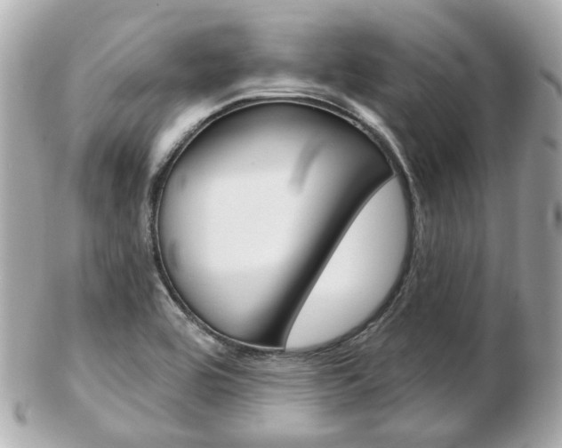 X0000103281464200808291034