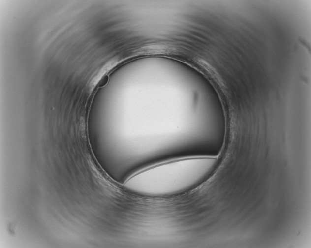 X0000103281465200808291034