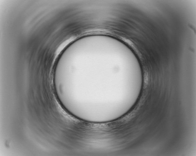 X0000103281466200808291034