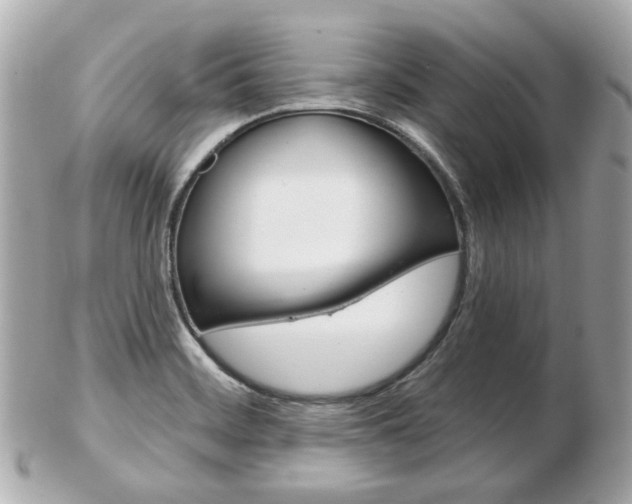 X0000103281468200808291034