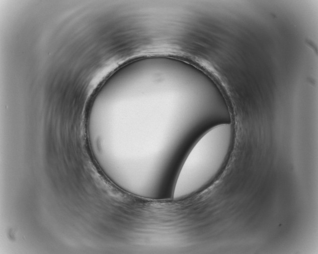X0000103281469200808291034
