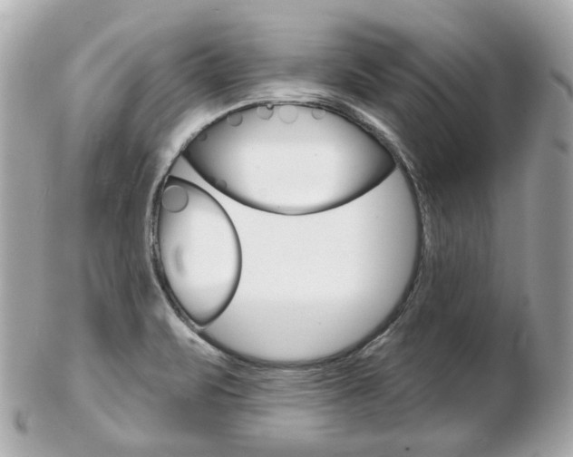 X0000103281471200808291034