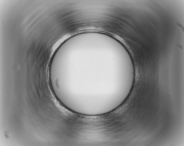 X0000103281474200808291034