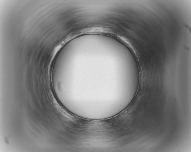 X0000103281475200808291034