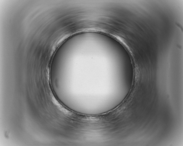 X0000103281476200808291034