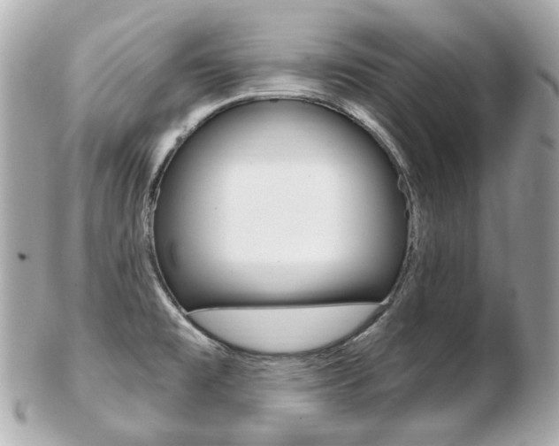 X0000103281477200808291034