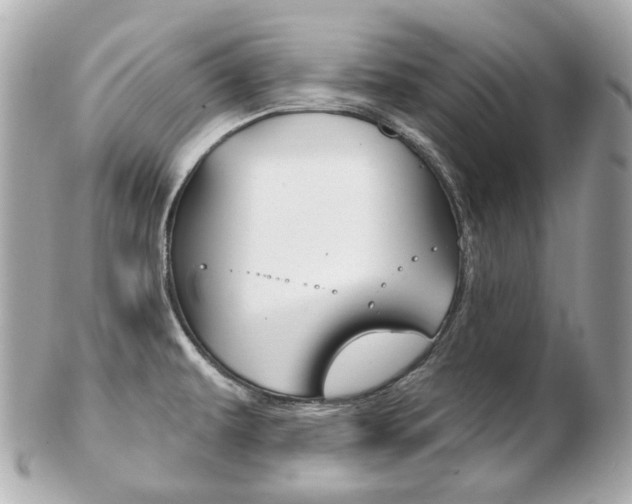 X0000103281479200808291034
