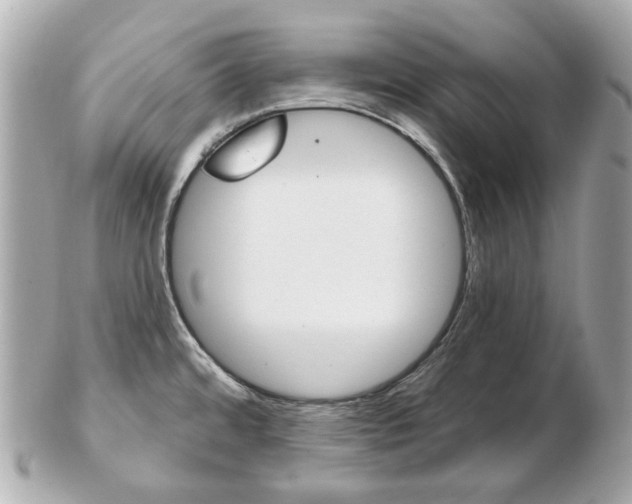 X0000103281480200808291034