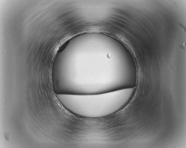 X0000103281481200808291034