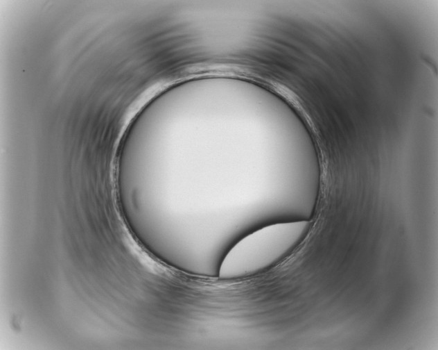 X0000103281482200808291034