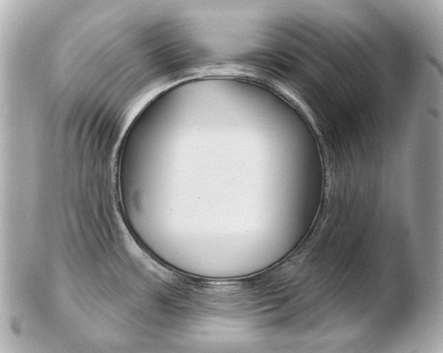 X0000103281483200808291034