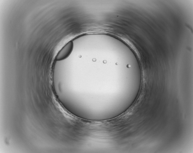 X0000103281485200808291034