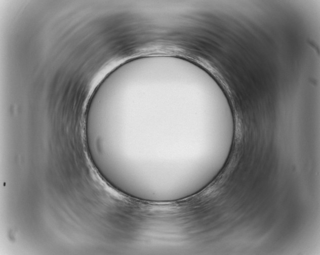 X0000103281486200808291034