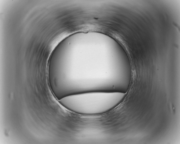 X0000103281487200808291034