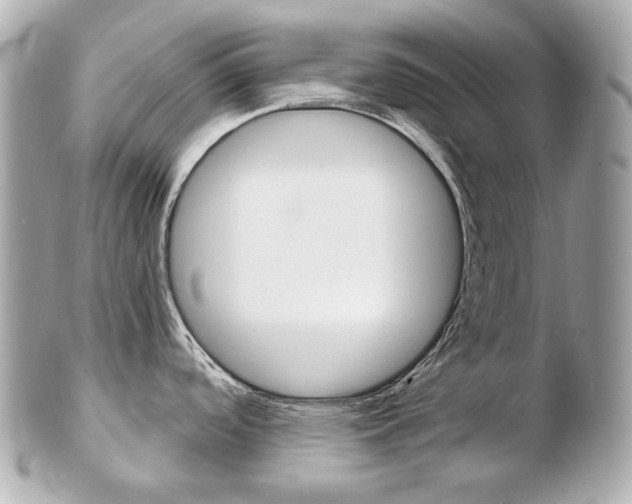 X0000103281488200808291034