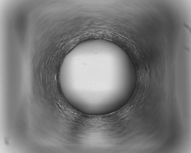 X0000103281489200808291033