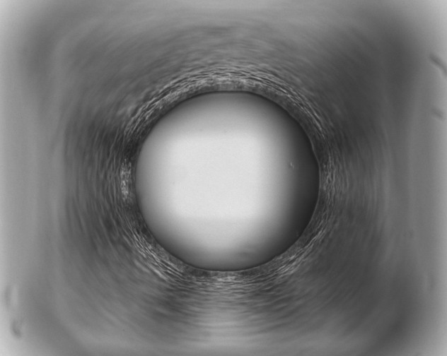 X0000103281490200808291033