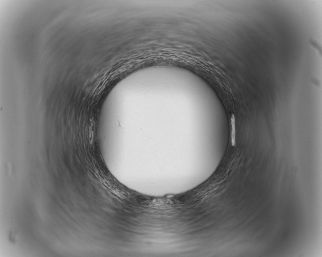 X0000103281491200808291033