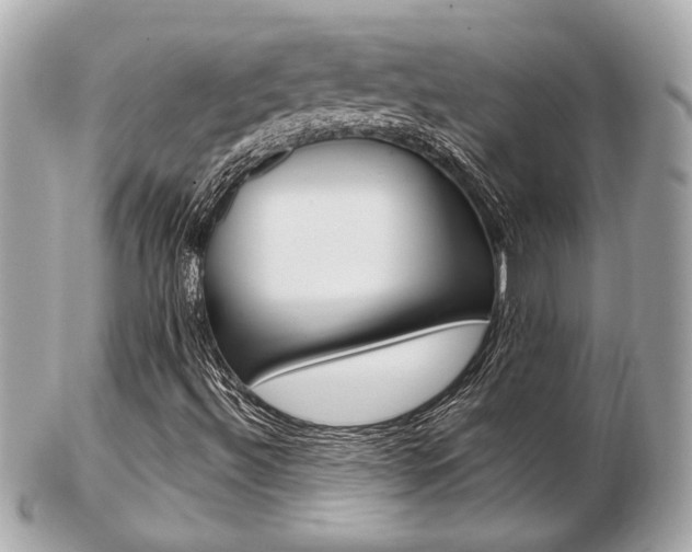 X0000103281492200808291034