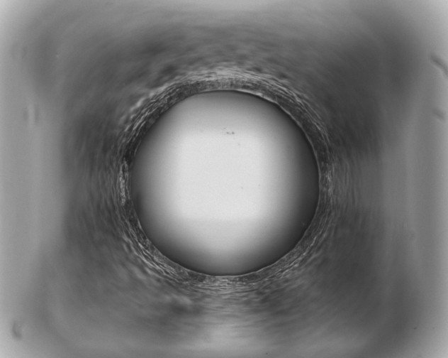 X0000103281493200808291034