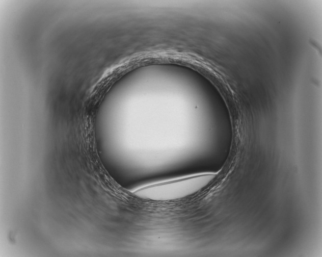 X0000103281494200808291034