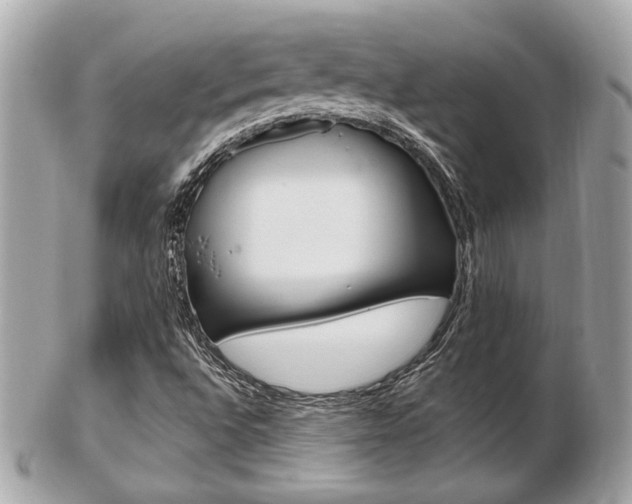 X0000103281496200808291034