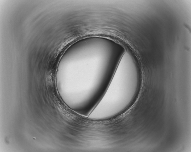 X0000103281497200808291034