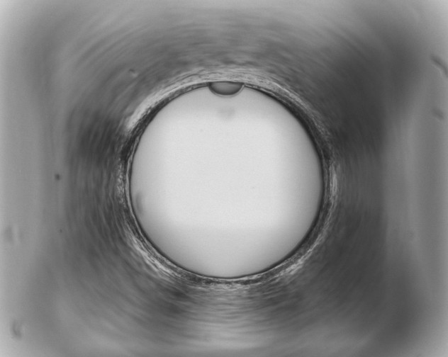 X0000103281498200808291034