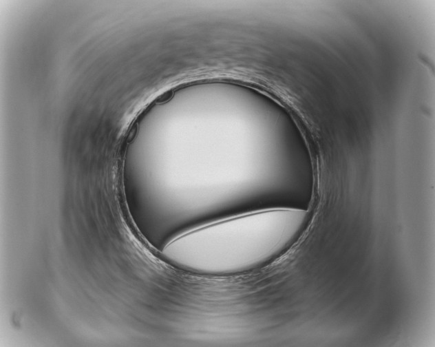 X0000103281500200808291034