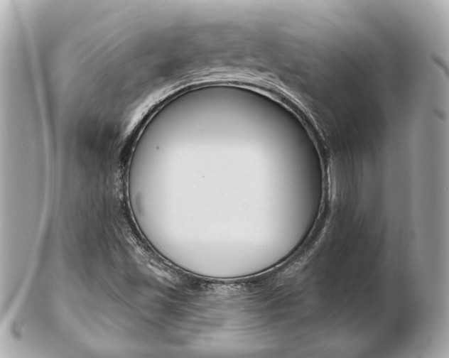 X0000103281501200808291034