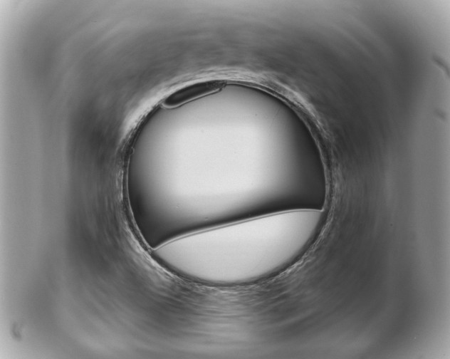 X0000103281504200808291034