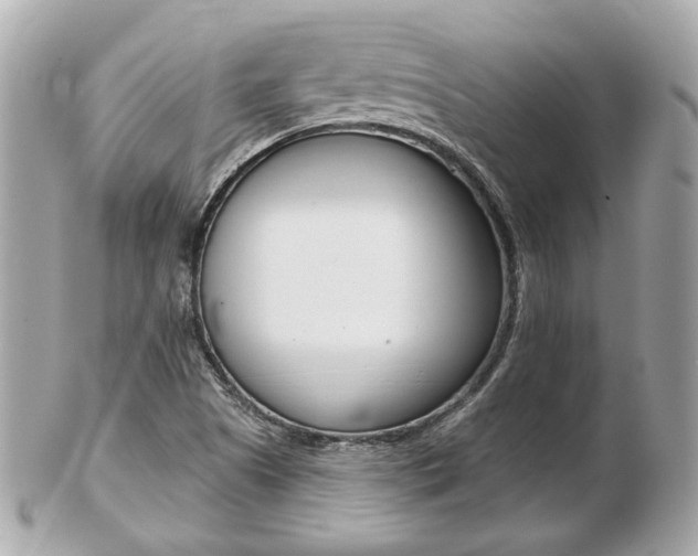 X0000103281505200808291034