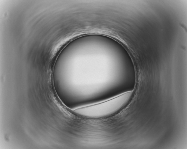 X0000103281507200808291034