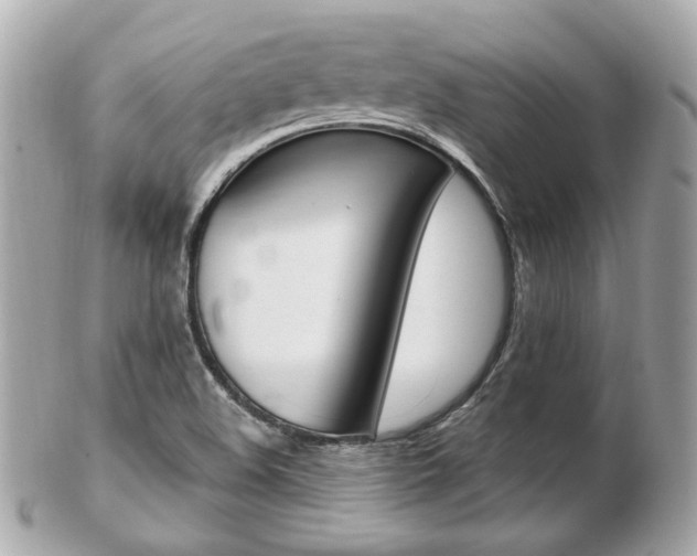 X0000103281508200808291034