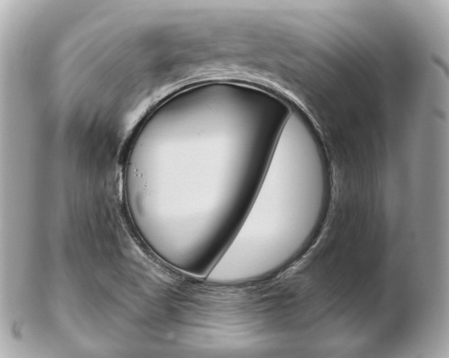 X0000103281509200808291034
