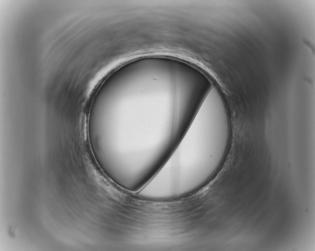 X0000103281510200808291034
