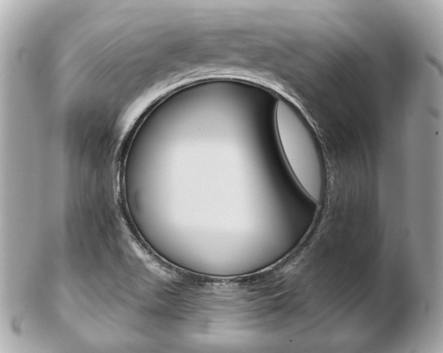 X0000103281511200808291034
