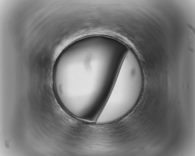 X0000103281512200808291034