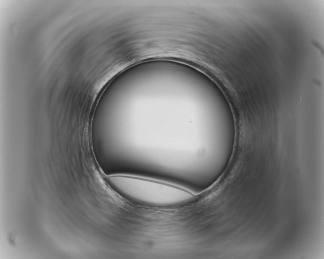 X0000103281513200808291034