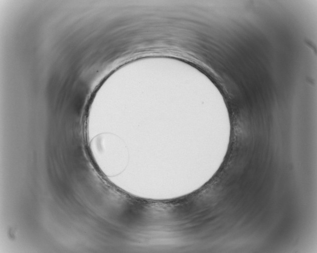 X0000103281514200808291034