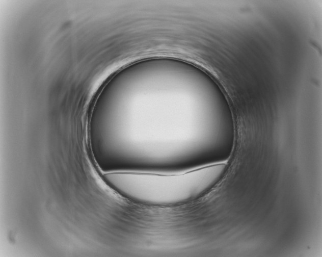 X0000103281515200808291034