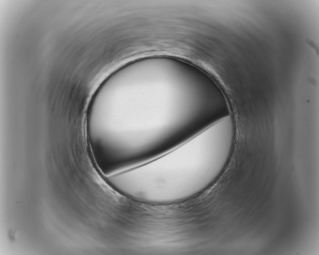 X0000103281516200808291034